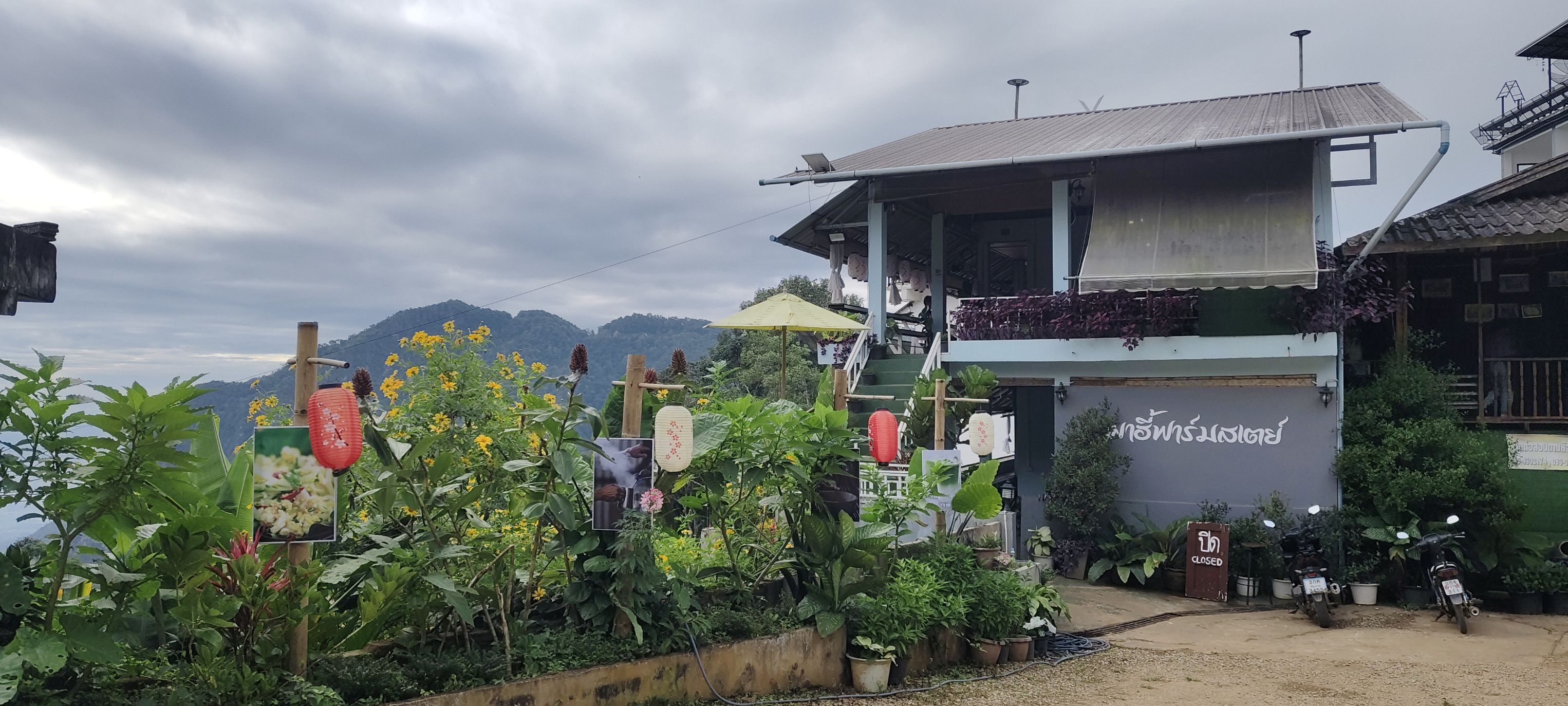 แขกผู้มาพักผาฮี้ฟาร์มสเตย์